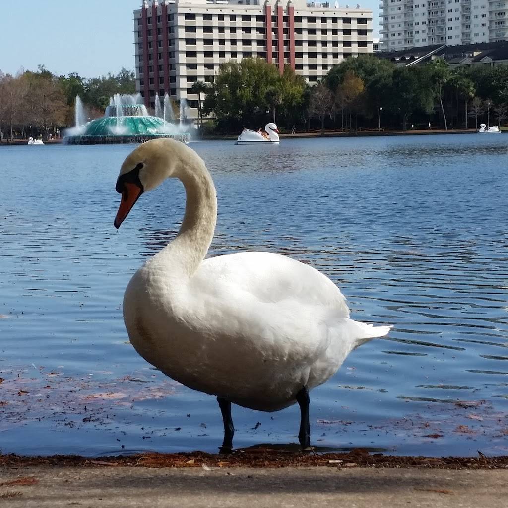 Relax Grill | restaurant | 211 Eola Pkwy, Orlando, FL 32801, USA | 4074258440 OR +1 407-425-8440