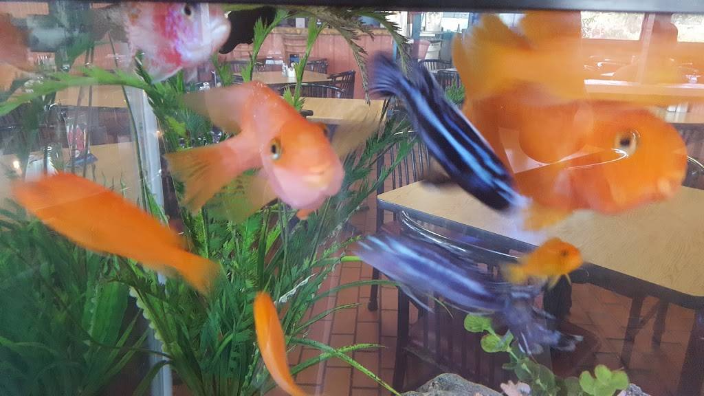 La Playa Mexican Cafe | restaurant | 7118 S Padre Island Dr, Corpus Christi, TX 78412, USA | 3619803909 OR +1 361-980-3909