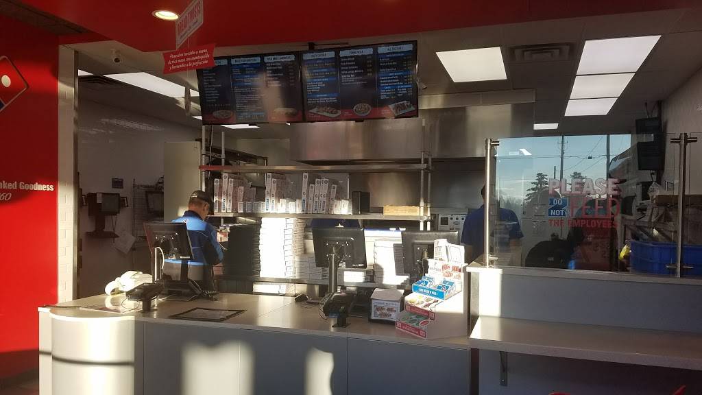 Dominos Pizza | meal delivery | 1019 E State Rd Ste 2, Lansing, MI 48906, USA | 5174821656 OR +1 517-482-1656