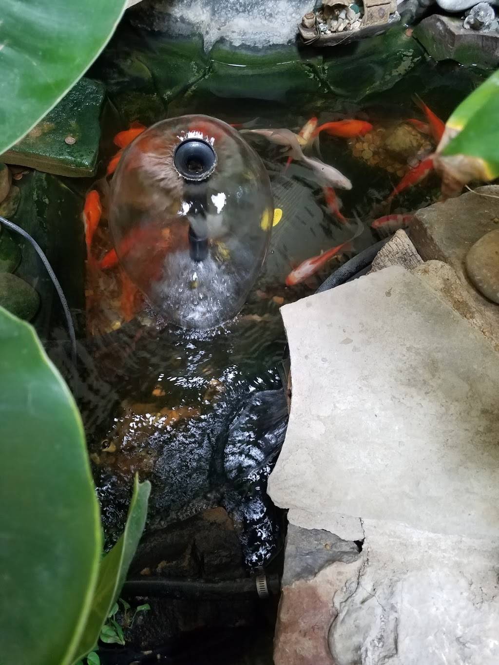 Lams Oriental Cuisine | restaurant | 347 Tuscarawas Ave NW, New Philadelphia, OH 44663, USA | 3303439141 OR +1 330-343-9141