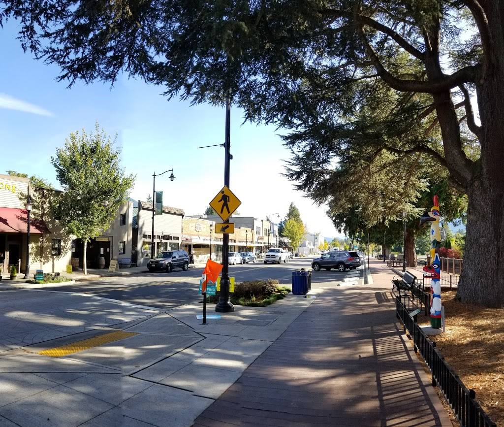 The Black Dog | cafe | 8062 Railroad Ave, Snoqualmie, WA 98065, USA | 4258313647 OR +1 425-831-3647