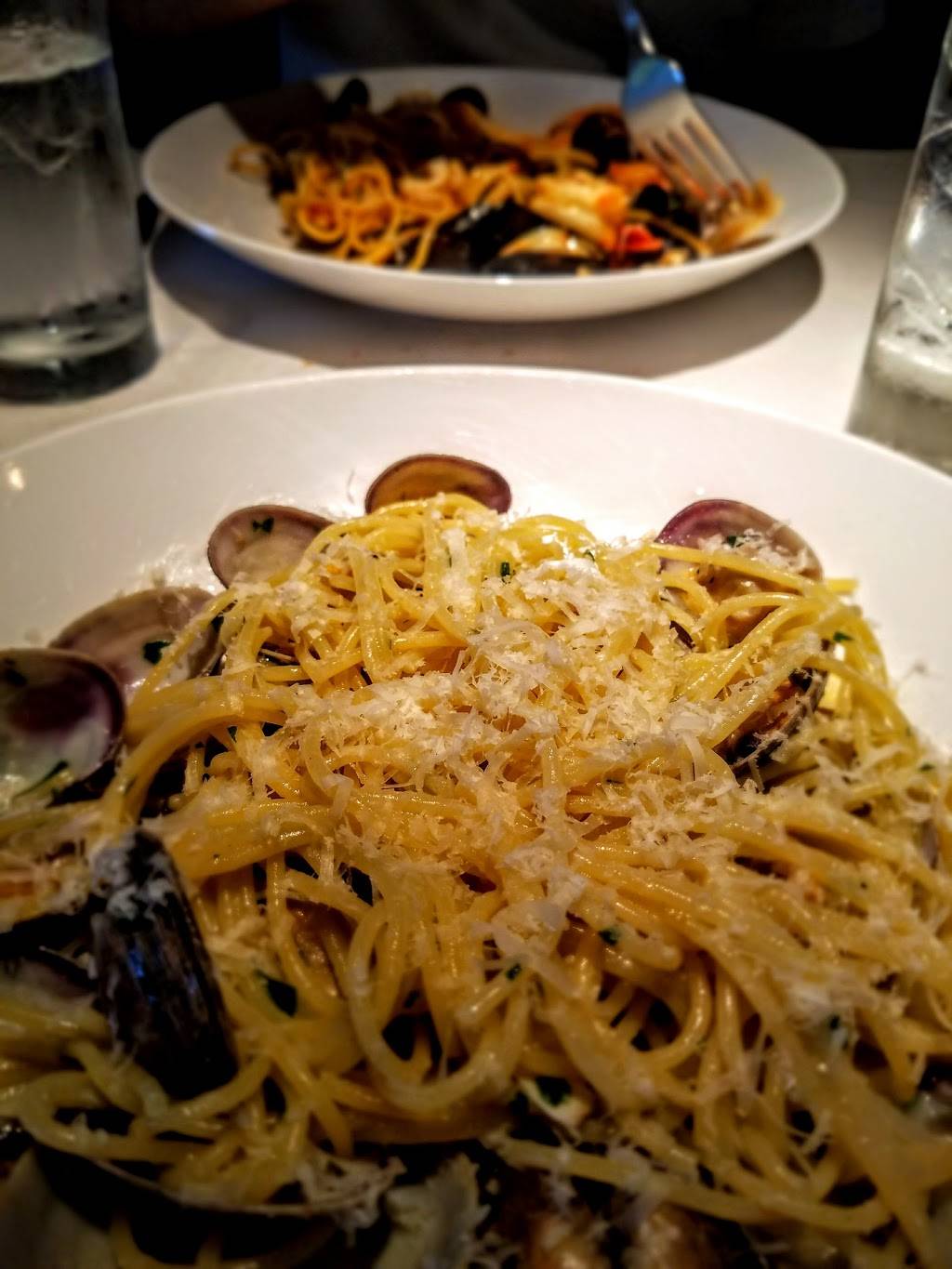 Sotto Sotto Restaurant | restaurant | 313 North Highland Avenue Northeast, Atlanta, GA 30307, USA | 4045236678 OR +1 404-523-6678