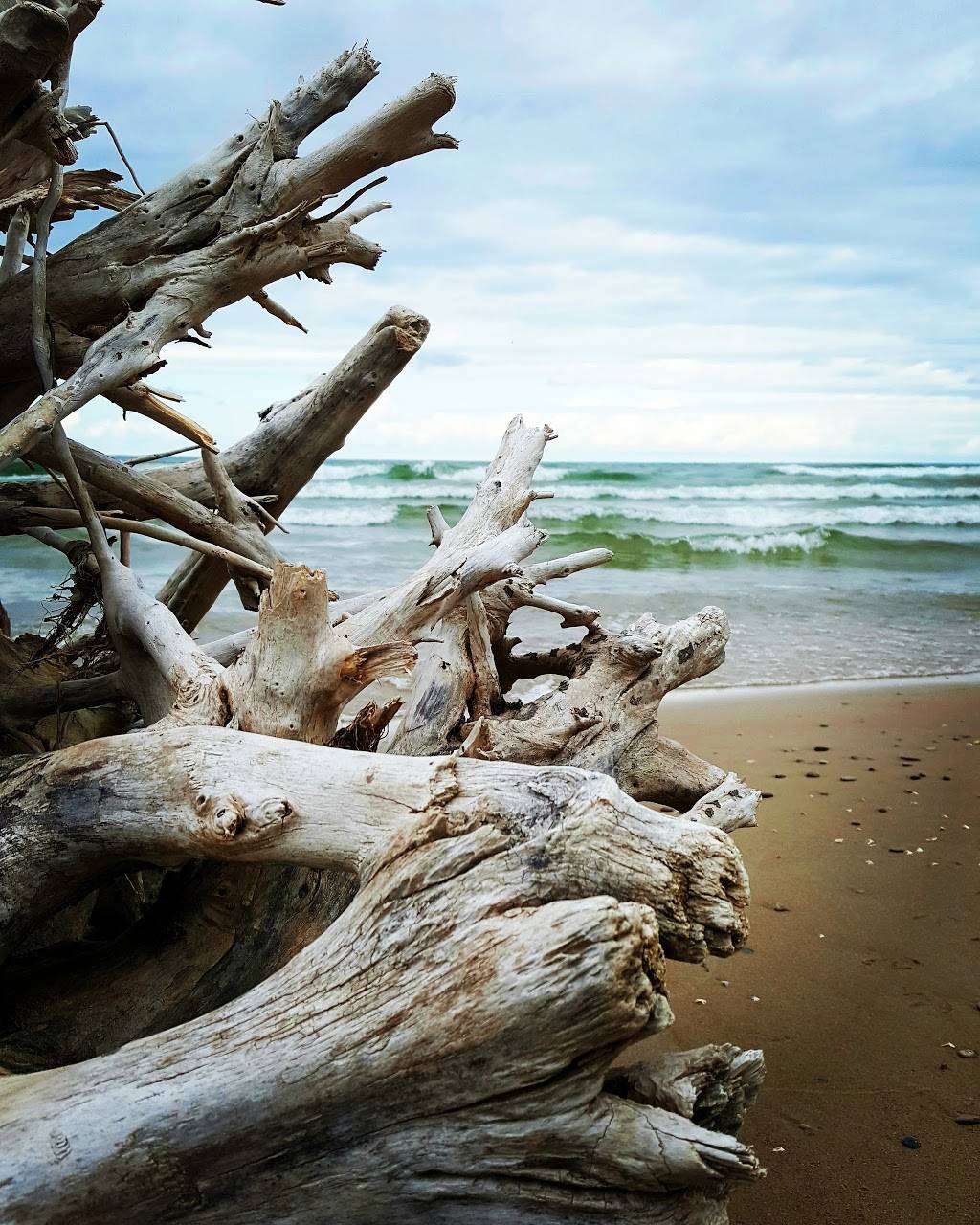 Subway | restaurant | 8 2nd Ave N, Sauble Beach, ON N0H 2G0, Canada | 5194221689 OR +1 519-422-1689