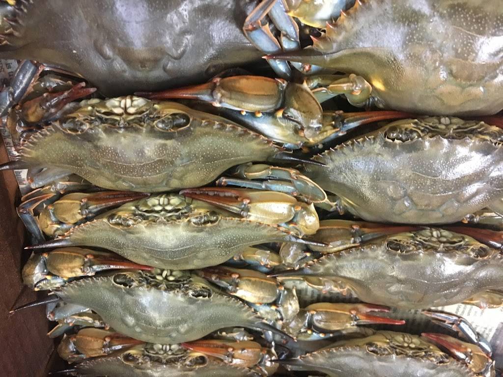 Sylvesters Fish Market and Restaurant | restaurant | 503 21st St, Avalon, NJ 08202, USA | 6099677553 OR +1 609-967-7553