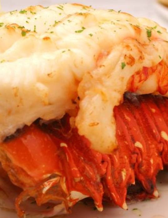 Clam Tavern | restaurant | 339 E Broadway Ave, Clifton Heights, PA 19018, USA | 6106239537 OR +1 610-623-9537