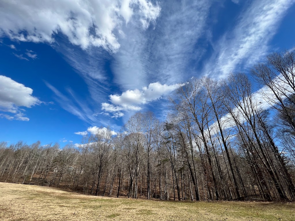 Raptors Roost Disc Golf | restaurant | 1944 Shenandoah Crossing Dr, Gordonsville, VA 22942, USA | 5408418777 OR +1 540-841-8777