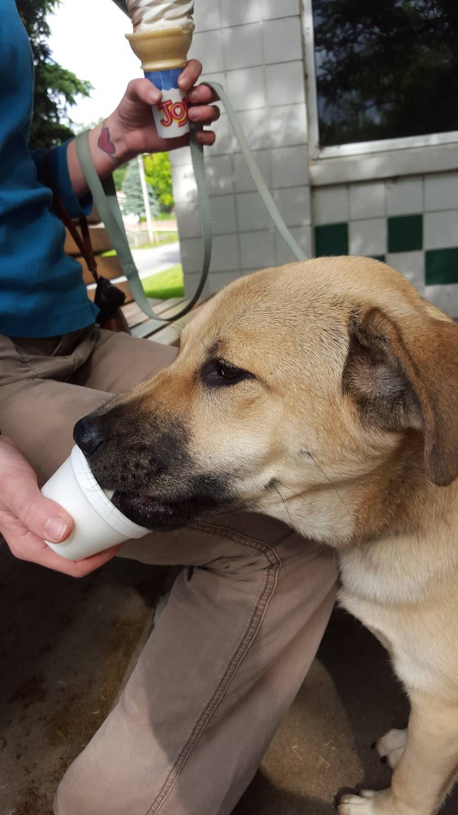 Christy Creme | restaurant | 2853 N Broadway, Council Bluffs, IA 51503, USA | 7123222778 OR +1 712-322-2778