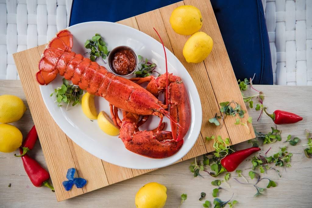 Apeiro Kitchen & Bar | restaurant | 14917 Lyons Rd, Delray Beach, FL 33446, USA | 5615014443 OR +1 561-501-4443