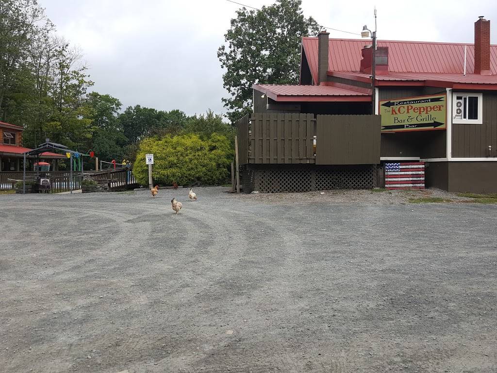 Lake Wanoka Resort And Family Campground - Honesdale | restaurant | 182 Ski Run Rd, Honesdale, PA 18431, USA | 5702530110 OR +1 570-253-0110