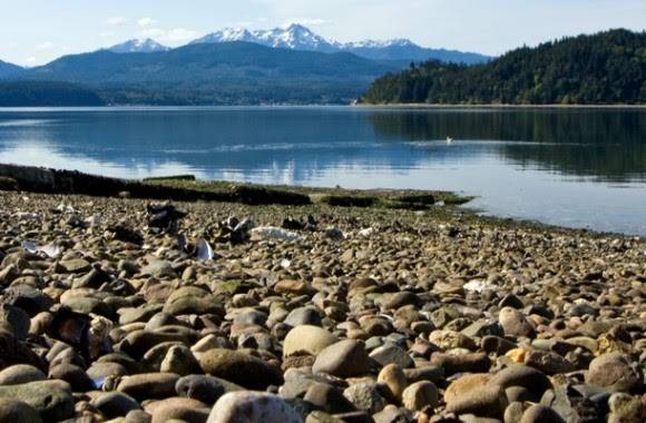 D D Denotta Seafood Company | restaurant | 17321 WA-106, Belfair, WA 98528, USA | 3605522085 OR +1 360-552-2085