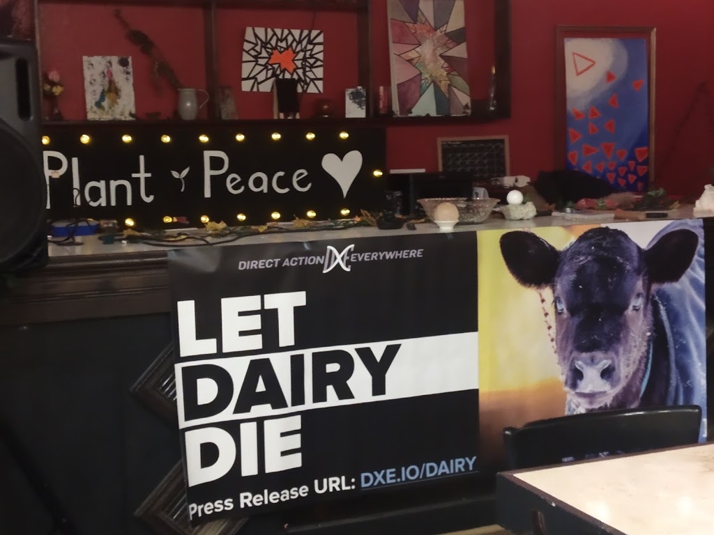 Plant | restaurant | 121 W Broadway Ave, Fairfield, IA 52556, USA | 6412091842 OR +1 641-209-1842