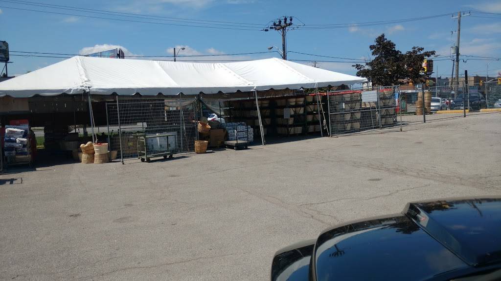 Churrasqueira Estrela Inc | restaurant | 2275 Keele St, North York, ON M6M 3Z6, Canada | 4162481918 OR +1 416-248-1918