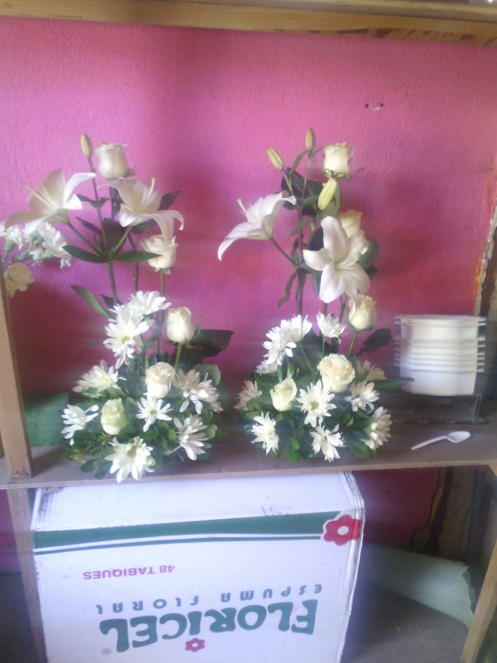 Mariscos el Tiburón | restaurant | Calle Lázaro Cárdenas del Río 4, Col.Plan Libertador, Plan Libertador, 22710 Rosarito, B.C., Mexico | 0446618509710 OR +52 1 661 850 9710