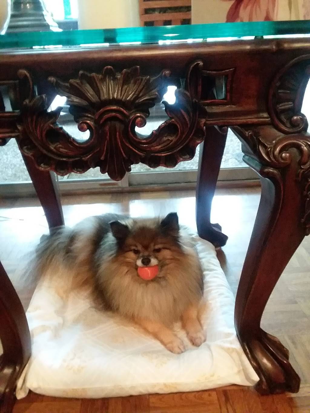 Happy Lamp | restaurant | 9619 Hillcroft St, Houston, TX 77096, USA | 7137217150 OR +1 713-721-7150