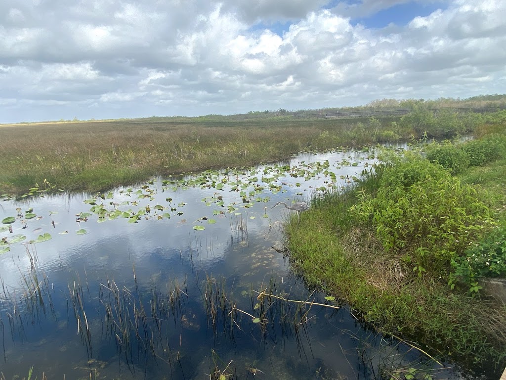 Starbucks | cafe | 19151 S Dixie Hwy, Cutler Bay, FL 33189, USA | 3052326827 OR +1 305-232-6827