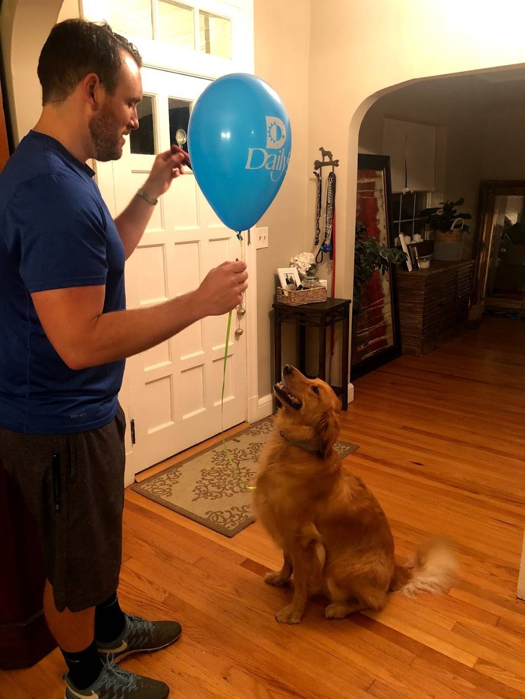 Dailys and Dailys Dash | restaurant | 3973 Hendricks Ave, Jacksonville, FL 32207, USA | 9043463129 OR +1 904-346-3129