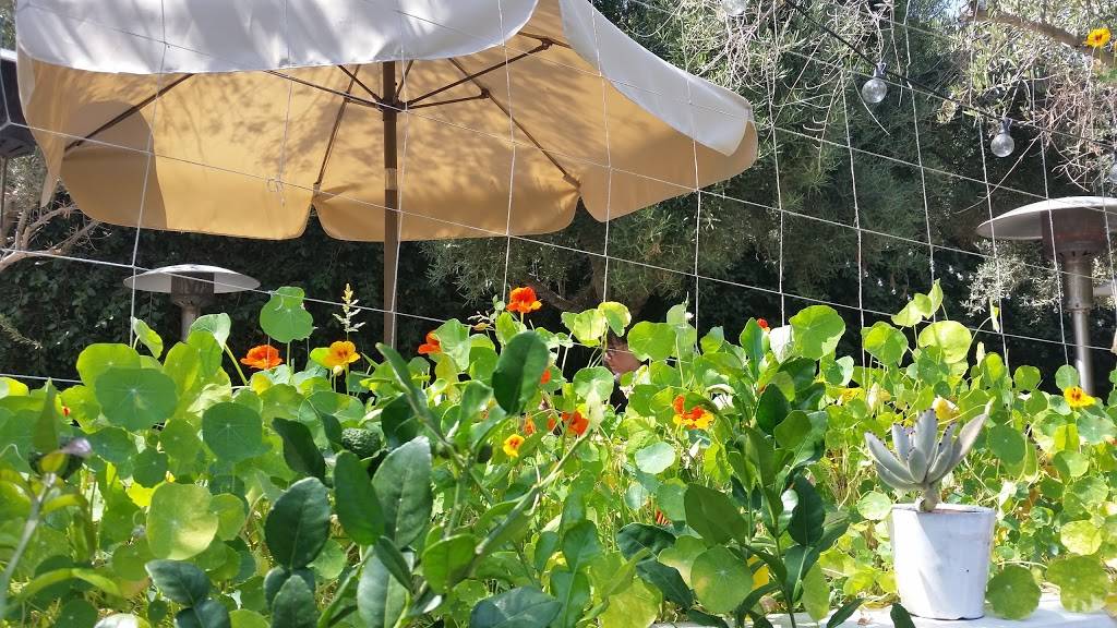 Plant Food and Wine | restaurant | 1009 Abbot Kinney Blvd, Venice, CA 90291, USA | 3104501009 OR +1 310-450-1009