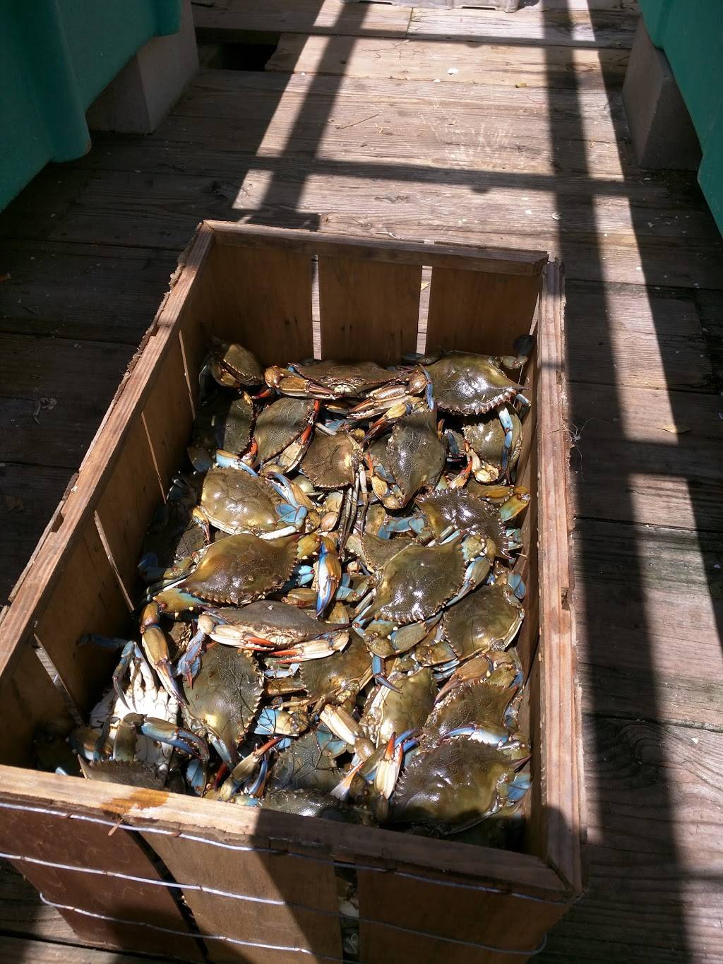 Brigadoon Fish Camp | restaurant | 6101 S Ridgewood Ave, Port Orange, FL 32128, USA | 3868727554 OR +1 386-872-7554