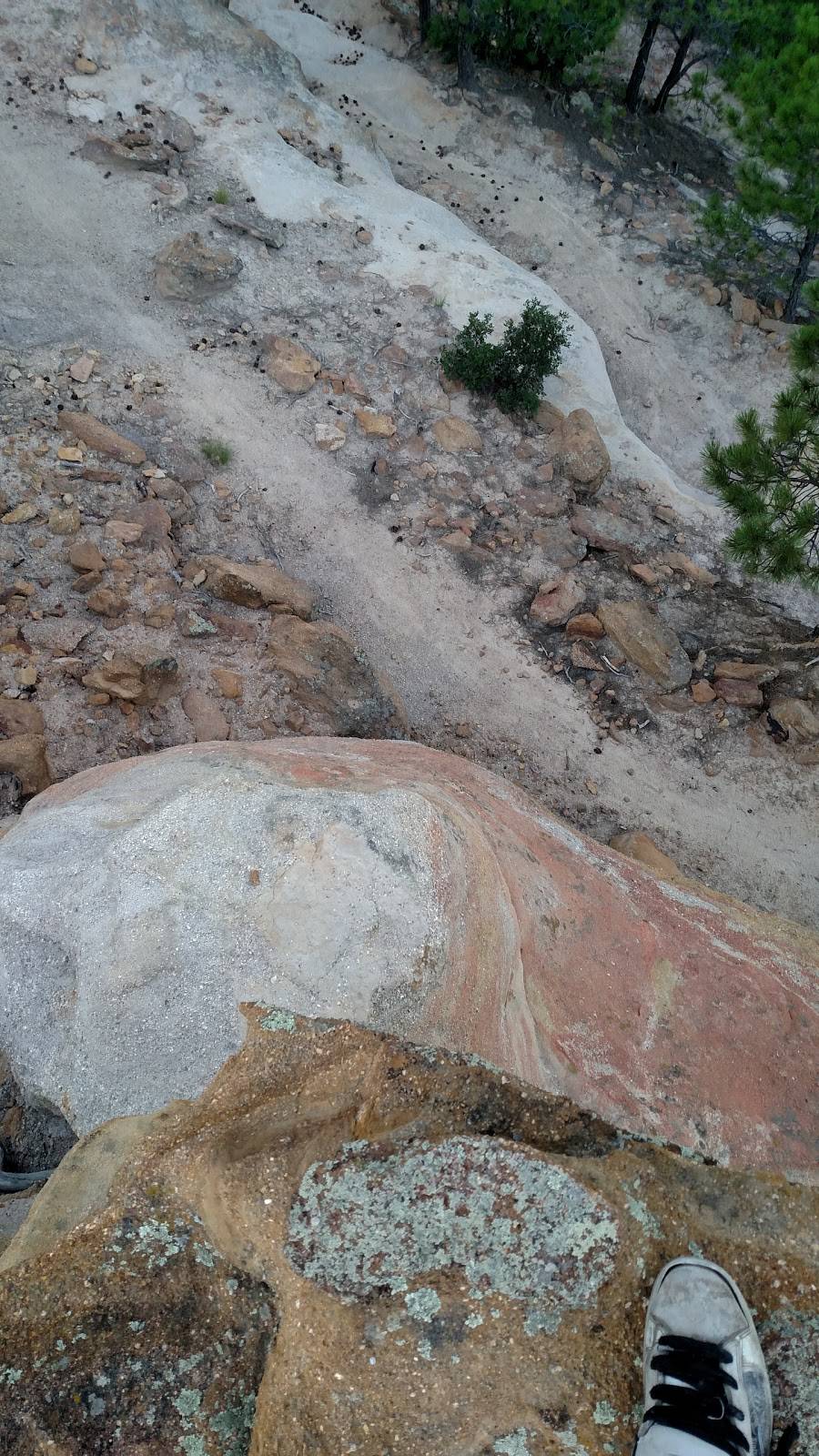 Little Caesars Pizza | meal takeaway | 4535 Austin Bluffs Pkwy, Colorado Springs, CO 80918, USA | 7195915900 OR +1 719-591-5900