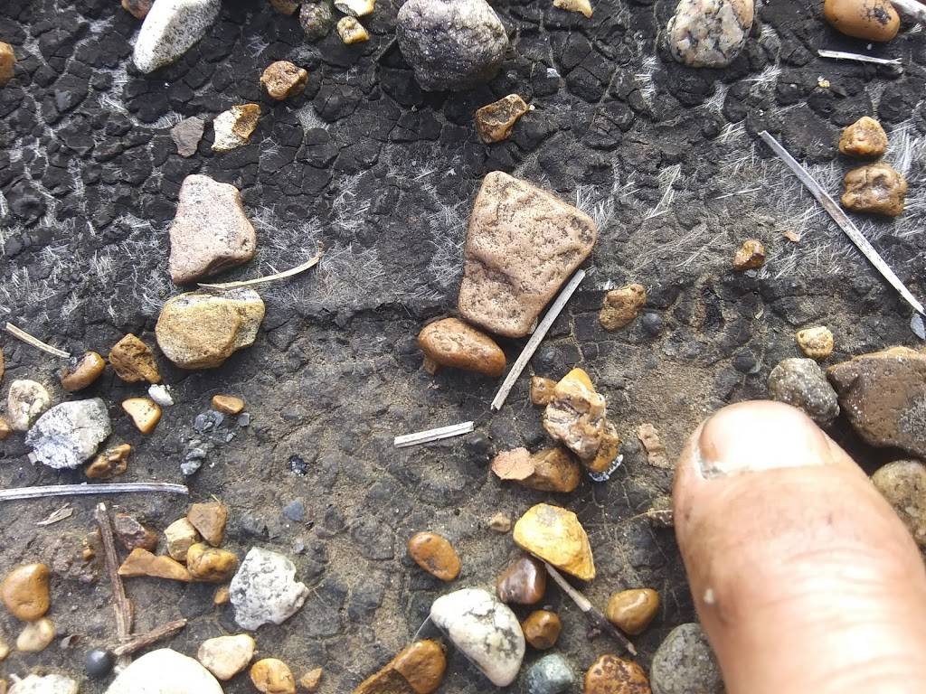 Old School Hot Wings | restaurant | 8709 US-61, Walls, MS 38680, USA | 6627810610 OR +1 662-781-0610