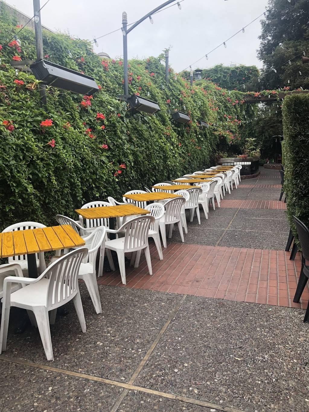 Cafe Panini | meal takeaway | 2115 Allston Way, Berkeley, CA 94704, USA | 5108490405 OR +1 510-849-0405