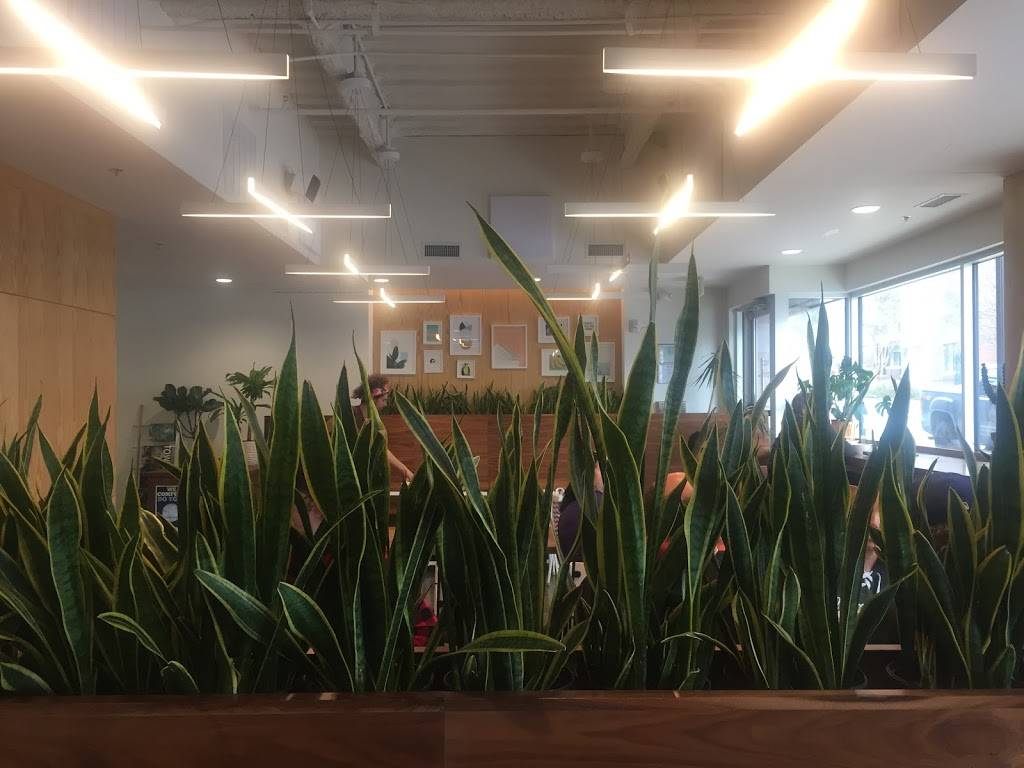 Happy + Hale | restaurant | next to lululemon, 600 S Main St #101, Greenville, SC 29601, USA | 8642524270 OR +1 864-252-4270