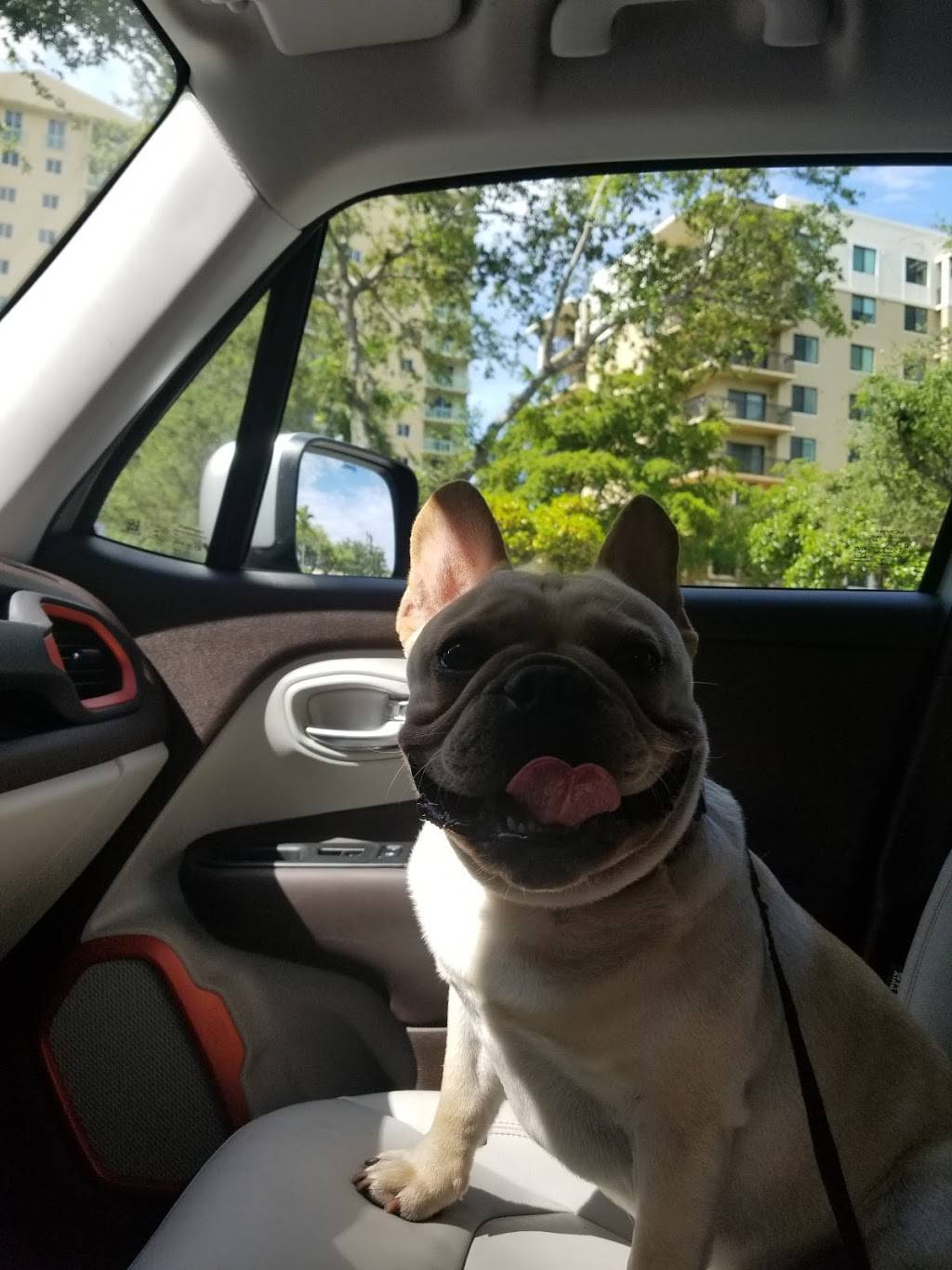 KFC | restaurant | 3535 SW 22nd St, Miami, FL 33145, USA | 3054469612 OR +1 305-446-9612