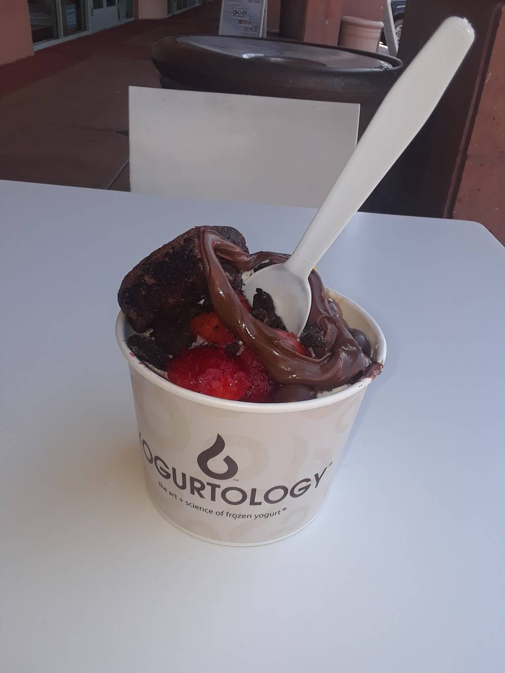 Yogurtology | restaurant | 15029 N Thompson Peak Pkwy, Scottsdale, AZ 85260, USA | 4804516900 OR +1 480-451-6900