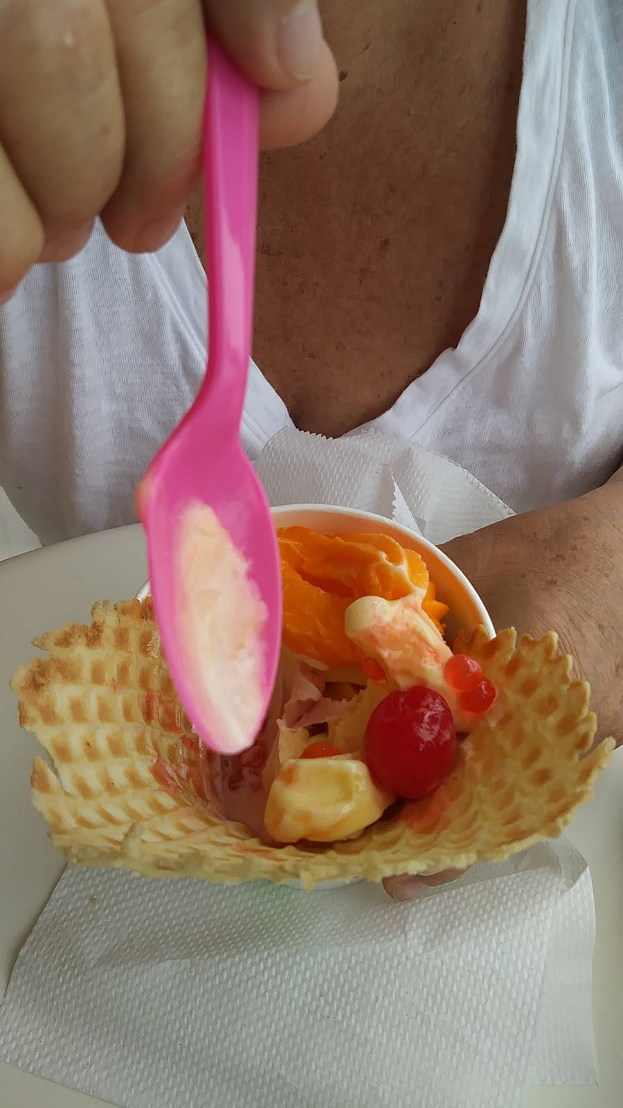 Tutti Frutti Frozen Yogurt | restaurant | 9975 Glades Rd, Boca Raton, FL 33434, USA | 5614871117 OR +1 561-487-1117