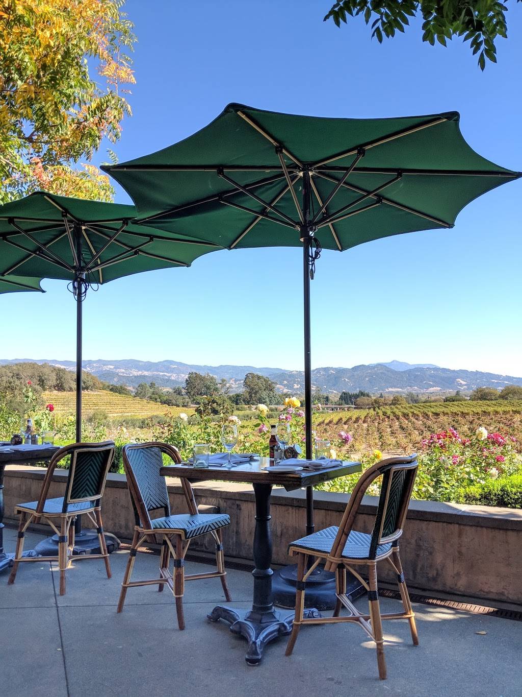 Rustic at Francis Ford Coppola Winery | restaurant | 300 Via Archimedes, Geyserville, CA 95441, USA | 7078571485 OR +1 707-857-1485