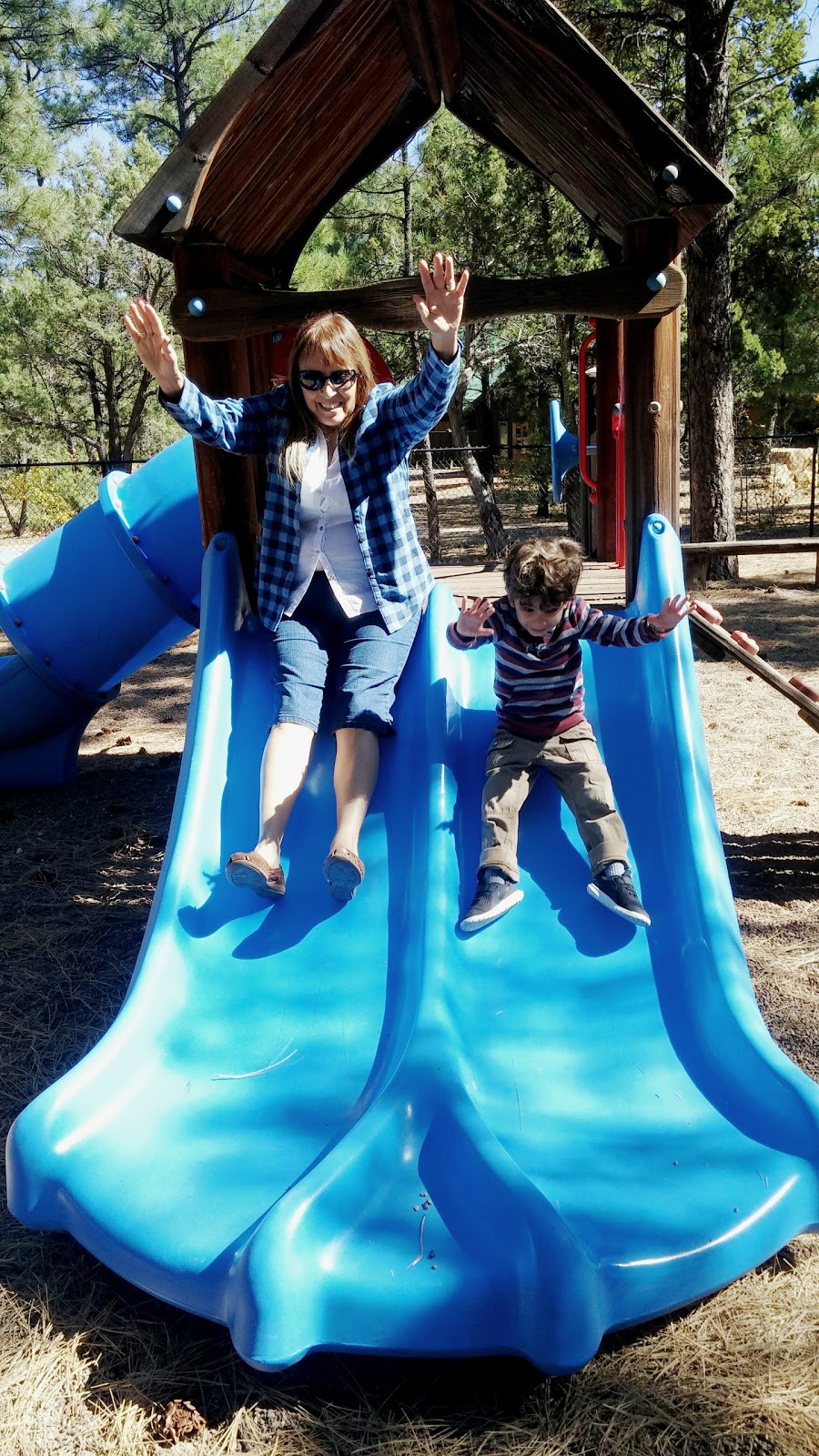 Torreon Grille | restaurant | 651 Torreon Loop, Show Low, AZ 85901, USA | 9285328000 OR +1 928-532-8000