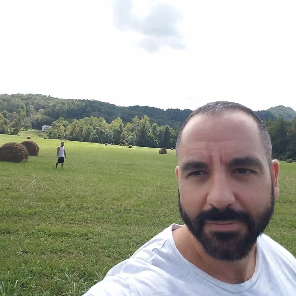 Mustards Last Stand | restaurant | 189 Catawba River Rd, Old Fort, NC 28762, USA | 8286684737 OR +1 828-668-4737