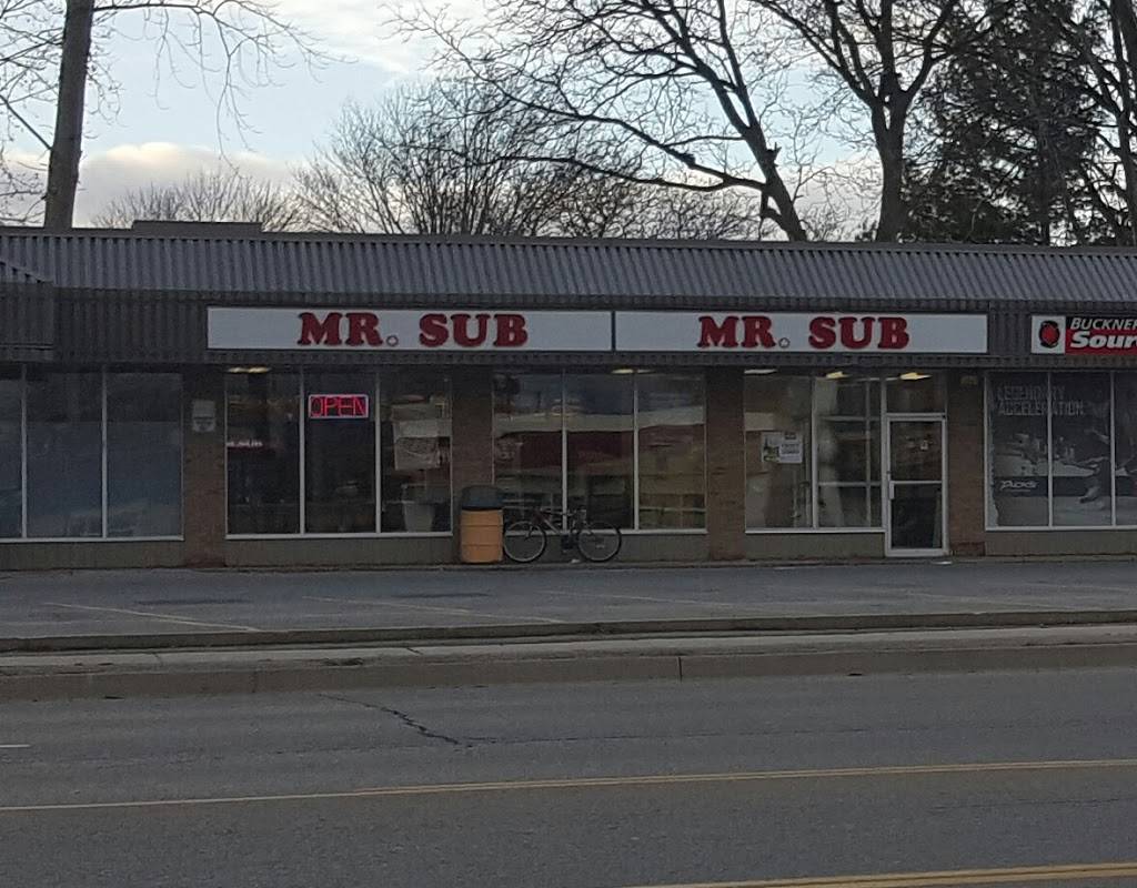 Mr.Sub | restaurant | 545 Niagara St, Welland, ON L3C 1L7, Canada | 9059889702 OR +1 905-988-9702