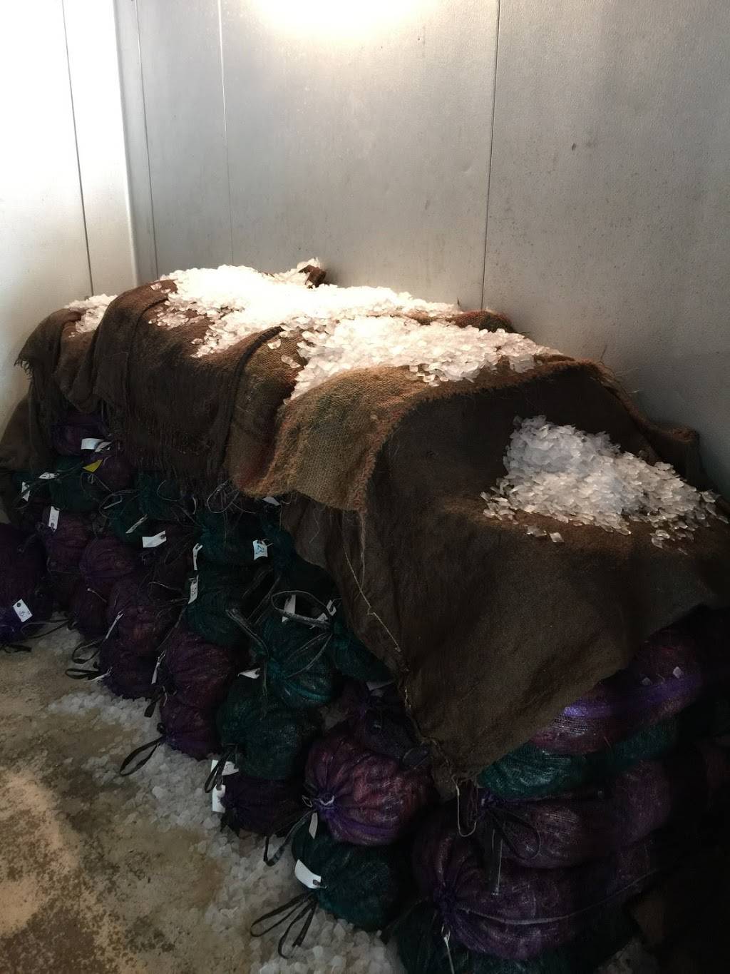 Wine Island Seafood, LLC. | restaurant | 9698 E Main St, Houma, LA 70363, USA | 9853468848 OR +1 985-346-8848