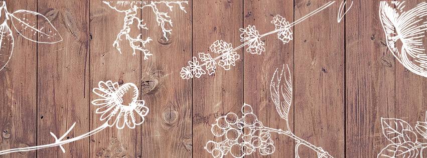 Root & Flower | restaurant | 288 Bridge St STE C4, Vail, CO 81657, USA | 9704704189 OR +1 970-470-4189