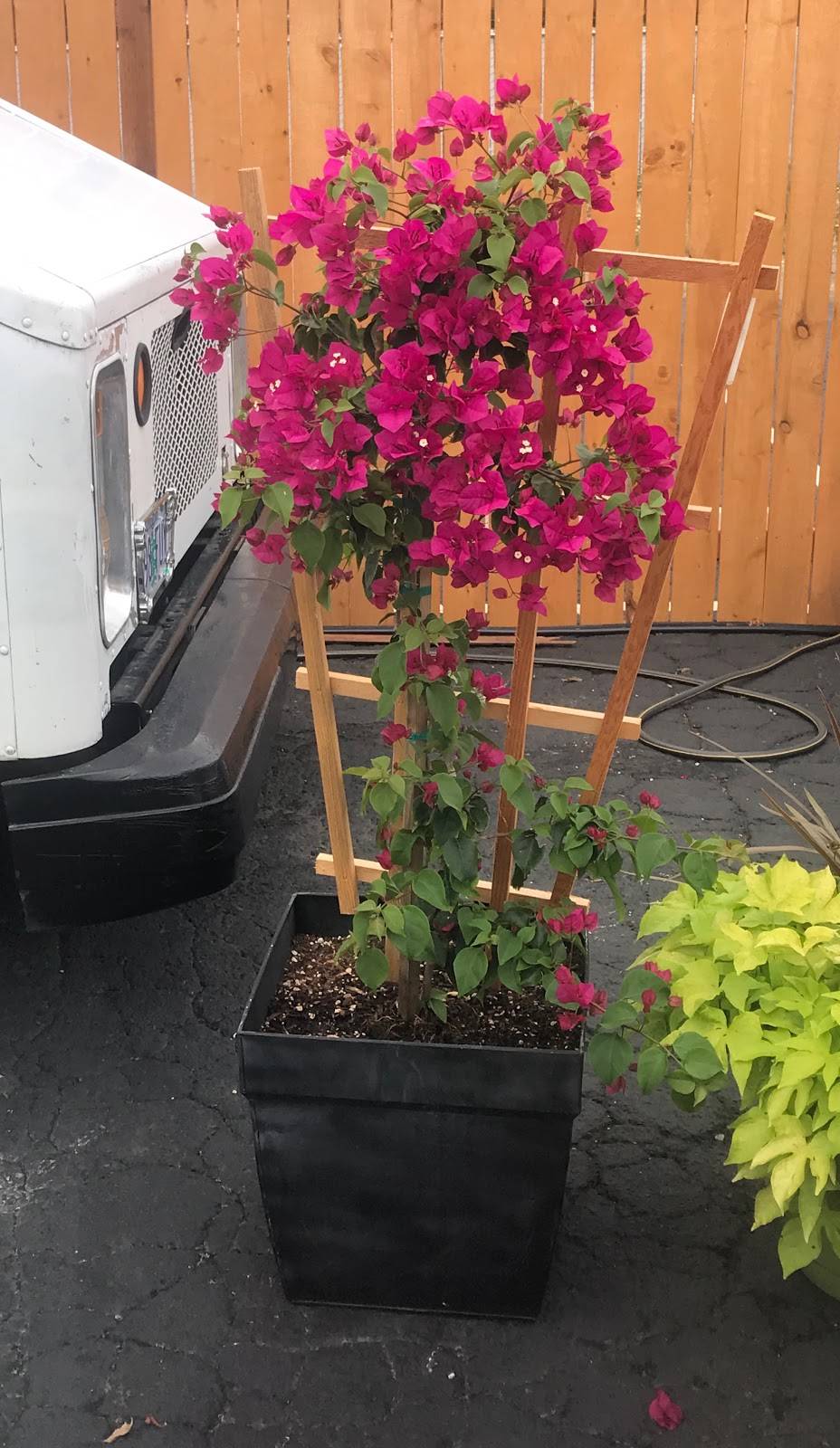 Slabtown Food Carts | restaurant | 2299 NW 23rd Ave, Portland, OR 97210, USA | 5038415923 OR +1 503-841-5923