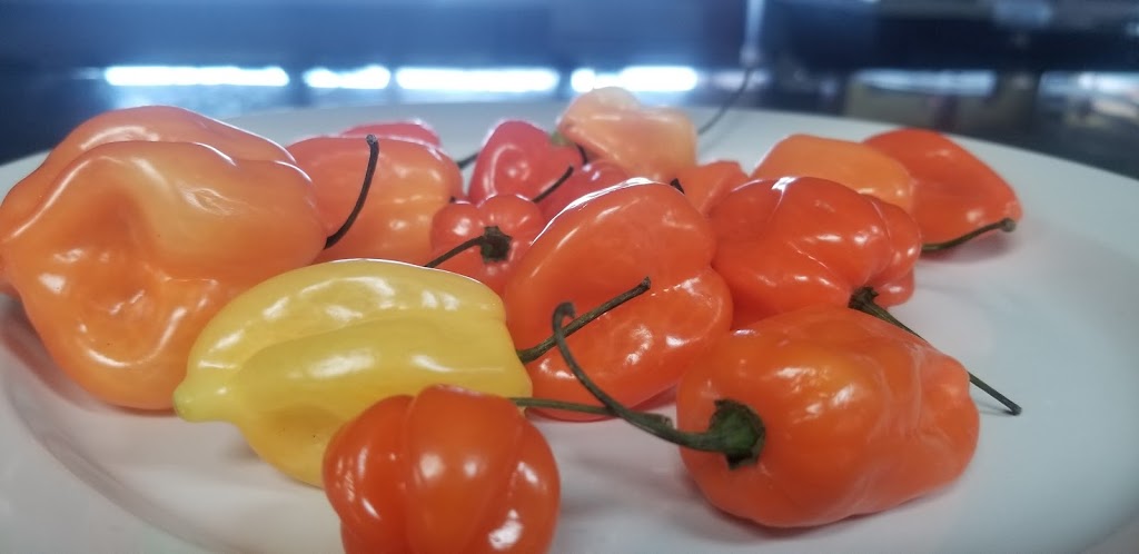 Mi Pueblo Tacos y Tequila | restaurant | 45 Boulder Way, Biddeford, ME 04005, USA | 2075719133 OR +1 207-571-9133