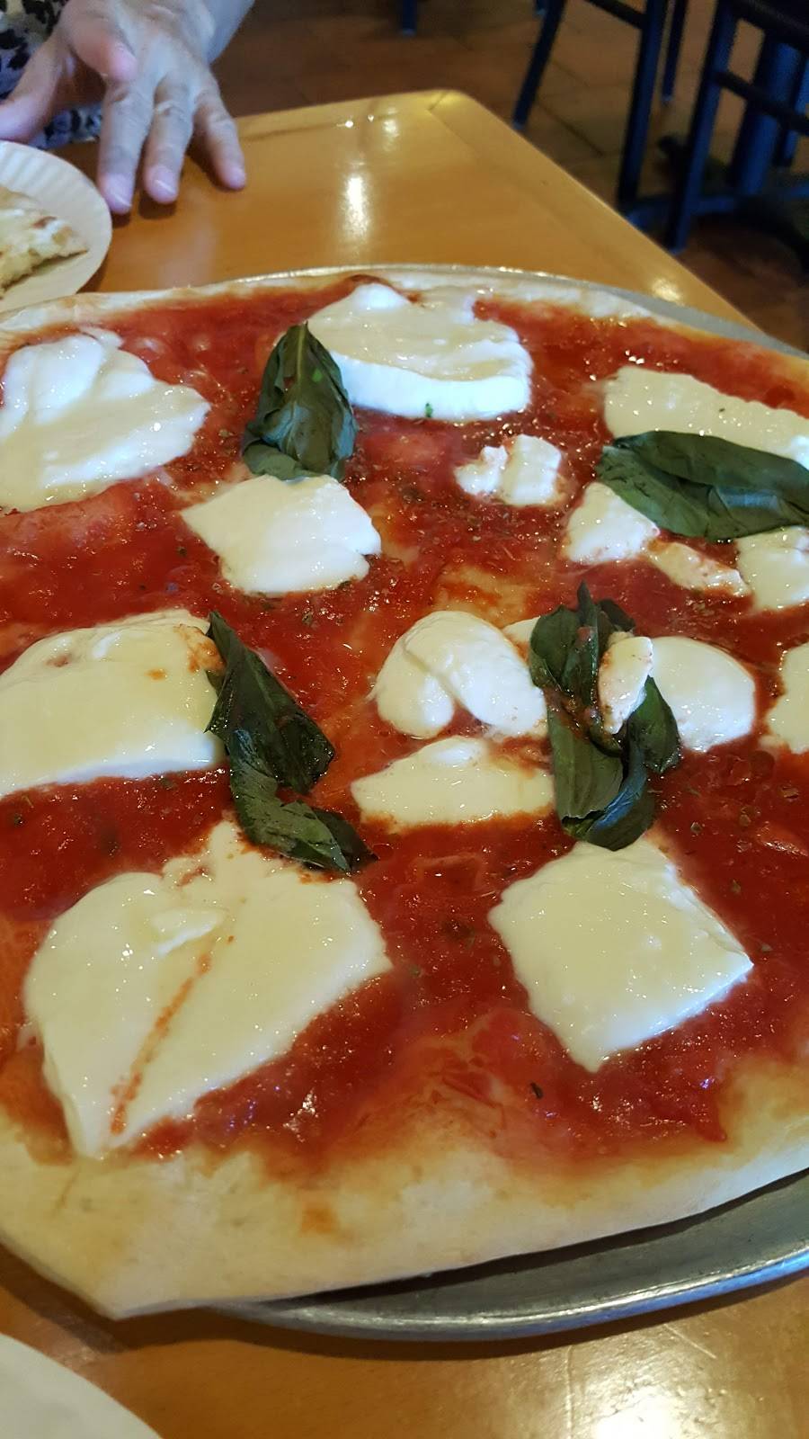 Dario Pizza Pasta Panini | restaurant | 1358 Hooper Ave, Toms River, NJ 08753, USA | 7322861554 OR +1 732-286-1554