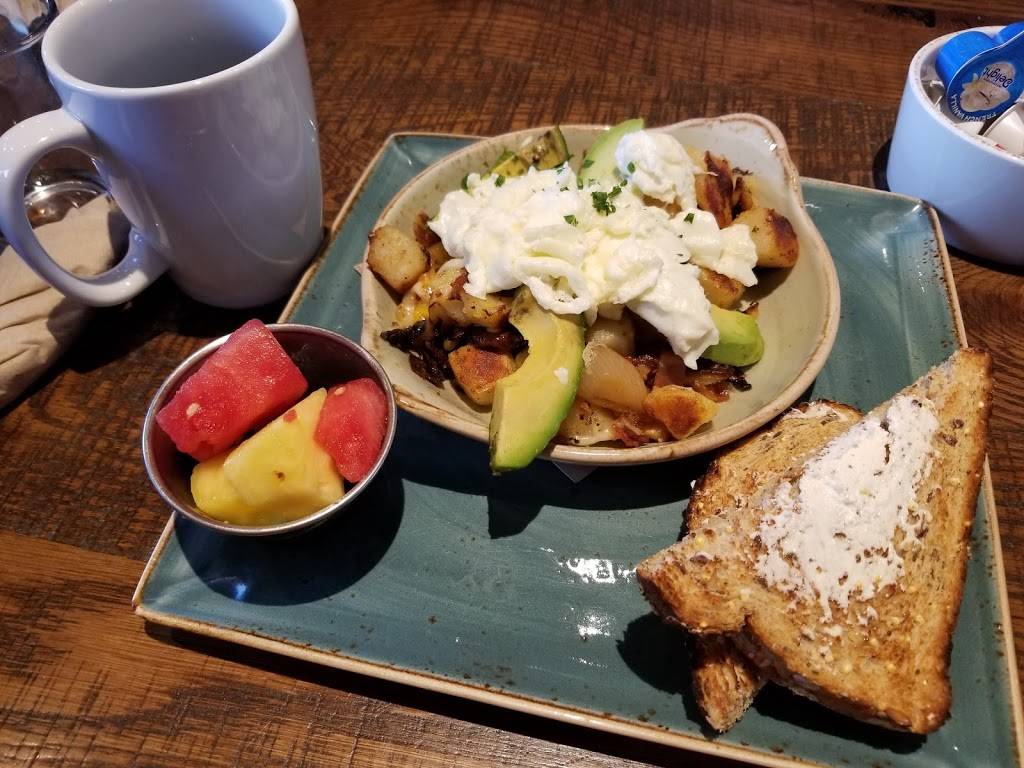 First Watch - East Bay | restaurant | 5310 E Bay Dr #100, Clearwater, FL 33764, USA | 7275353447 OR +1 727-535-3447