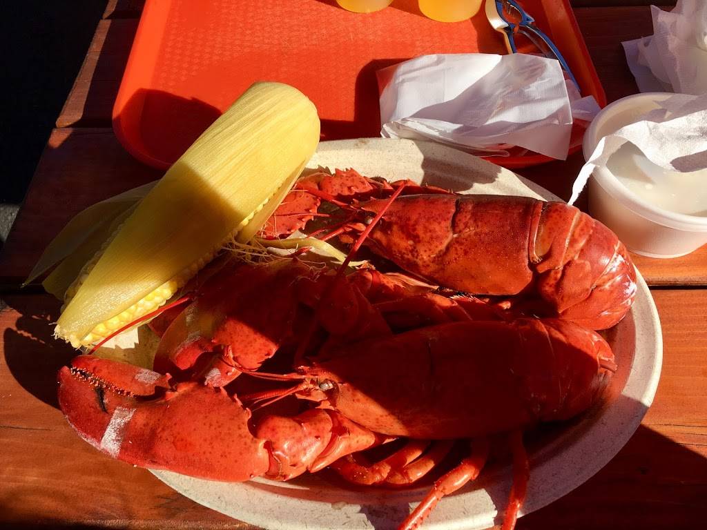 Lobster in The Rough | restaurant | 1000 U.S. Hwy 1, York, ME 03909, USA | 2073631285 OR +1 207-363-1285