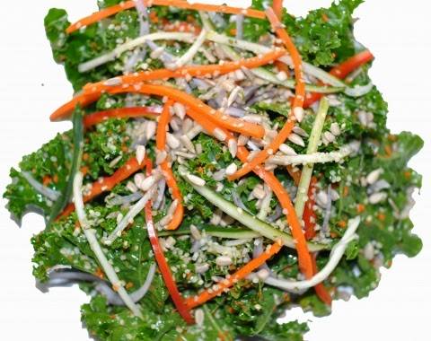 Gangster Vegan Organics | restaurant | 2454 W Main St, Norristown, PA 19403, USA | 6106301600 OR +1 610-630-1600