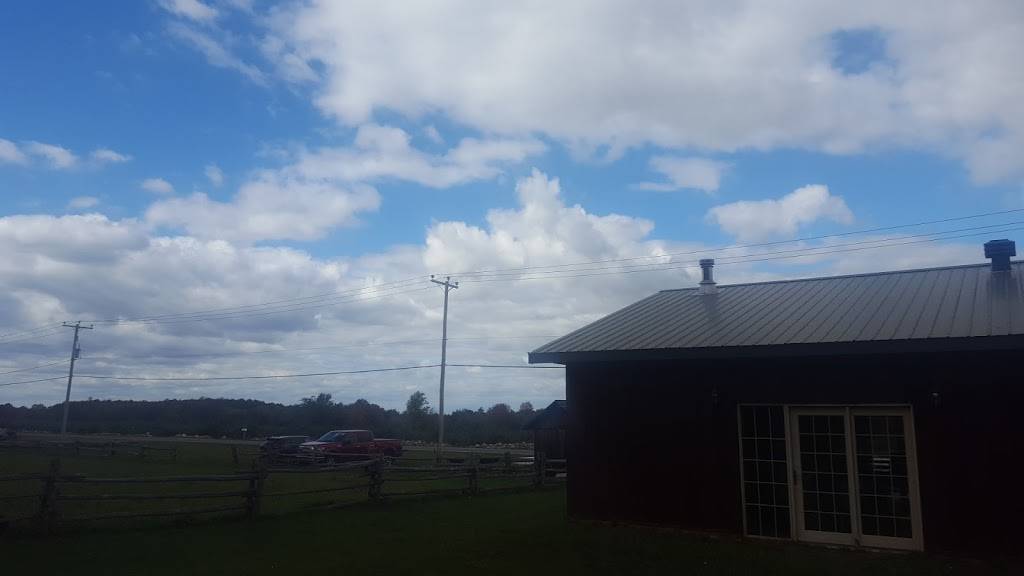 Flanklin | restaurant | 1019 QC-202, Hinchinbrooke, QC J0S 1E0, Canada | 4508272565 OR +1 450-827-2565