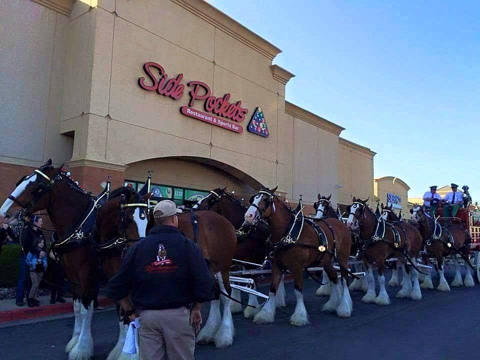 Side Pockets | restaurant | 1237 MO-7, Blue Springs, MO 64014, USA | 8162245454 OR +1 816-224-5454