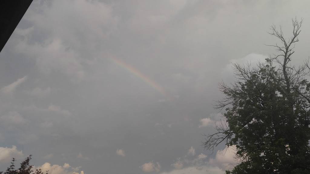 New Albany Roadhouse, Inc. | restaurant | 1702 Gray Brook Ln, New Albany, IN 47150, USA | 8129817777 OR +1 812-981-7777