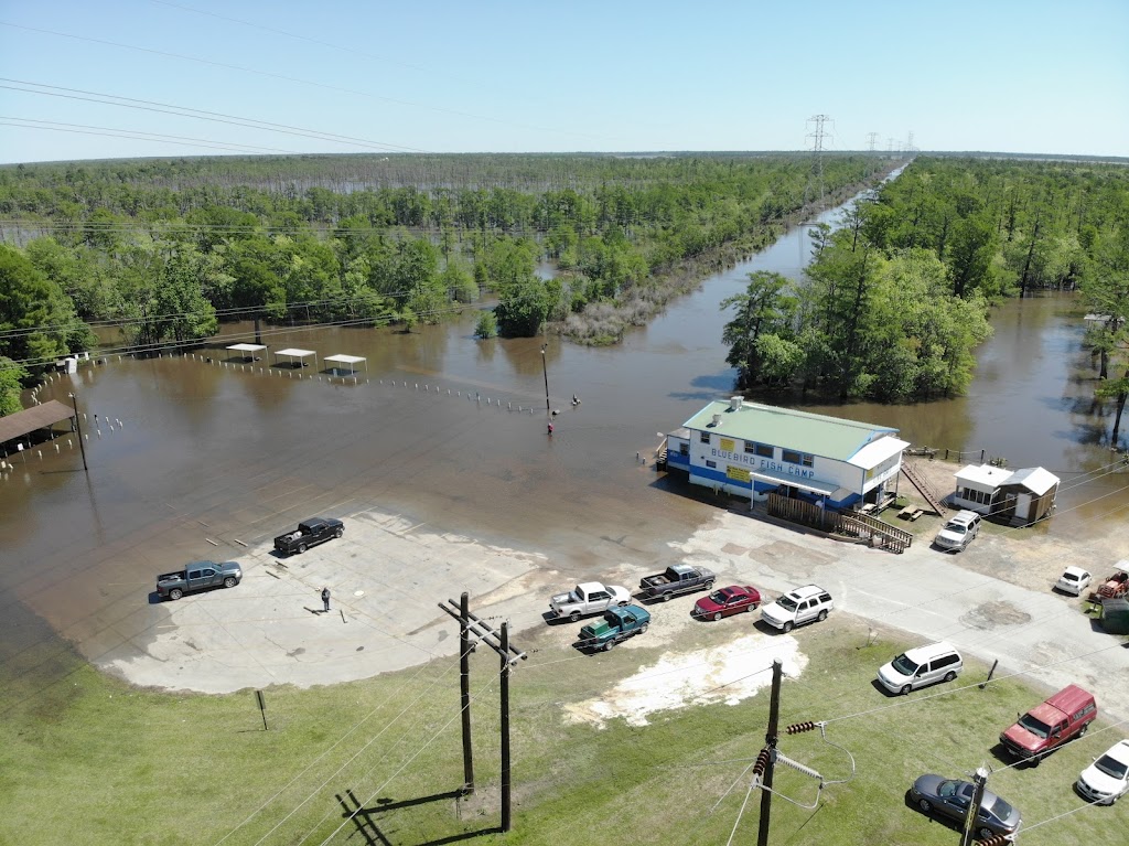 Bluebird Fish Camp | restaurant | 102 N Farragut Ave, Orange, TX 77630, USA | 4092385410 OR +1 409-238-5410