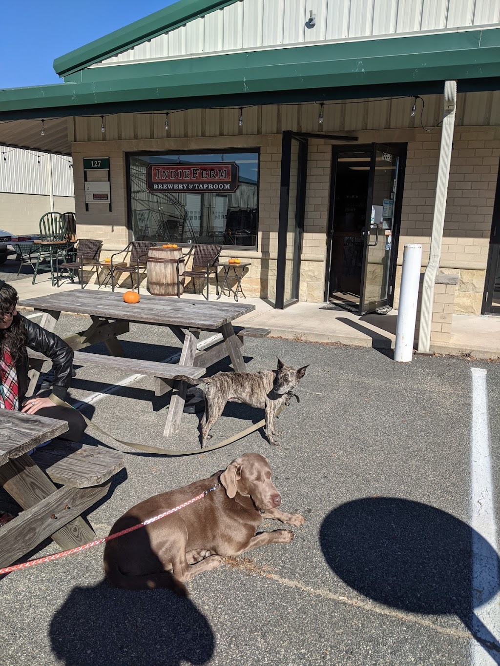 Independent Fermentations Brewing & Kombucha | restaurant | 127-3 Camelot Dr, Plymouth, MA 02360, USA | 5087464634 OR +1 508-746-4634