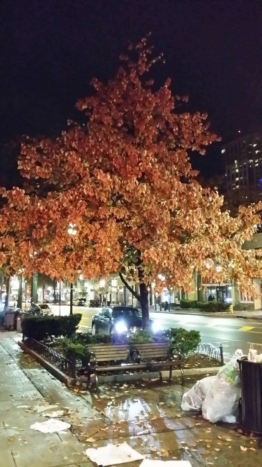 Pelham Palace | restaurant | 221 Wolfs Ln, Pelham, NY 10803, USA | 9147380388 OR +1 914-738-0388