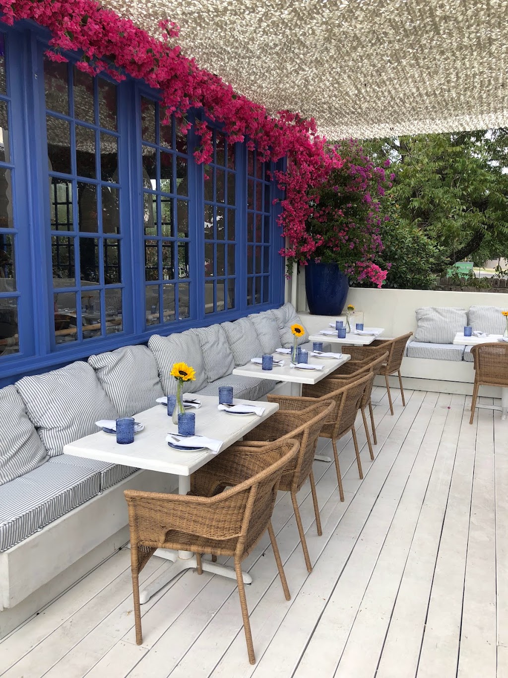 Yamas Greek Restaurant | restaurant | 5308 Balcones Dr, Austin, TX 78731, USA | 5122437499 OR +1 512-243-7499