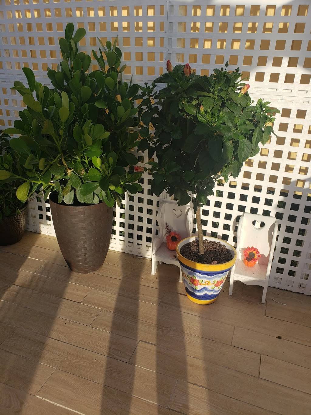 Pitaluv | restaurant | 5447 Spring Hill Dr, Spring Hill, FL 34606, USA | 3526109113 OR +1 352-610-9113