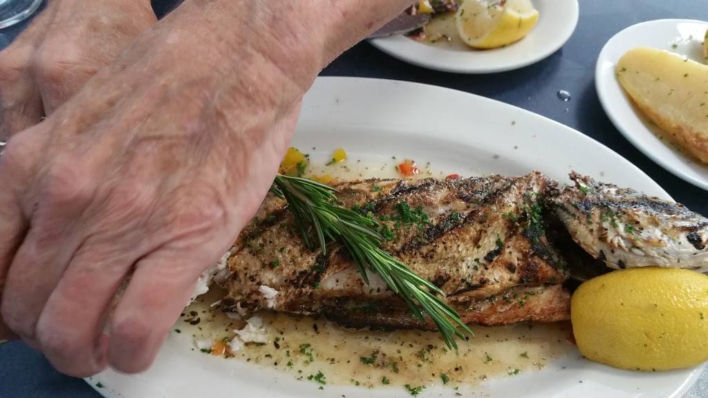 Santorini Greek Cuisine | restaurant | 210 N Woodland Blvd, DeLand, FL 32720, USA | 3867367726 OR +1 386-736-7726